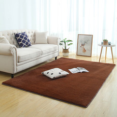 短毛丝毛地毯卧室网红同款床边满铺客厅茶几沙发地垫房间地毯 80x120cm咖啡色
