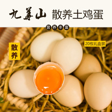 “农家自产” 九华山农家散养土鸡蛋20枚礼盒装