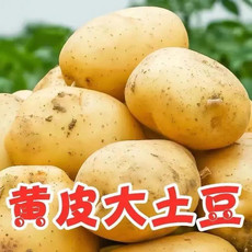 【超低价】新鲜黄心土豆批发大马铃薯小土豆现挖现发蔬菜2/5/10斤