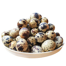 邮乡甜 鹌鹑蛋100枚新鲜生的农家正宗杂粮喂养