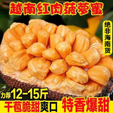 【12-15斤装】越南红肉菠萝蜜一整个新鲜水果红心波罗蜜海南黄肉【徐闻美食】