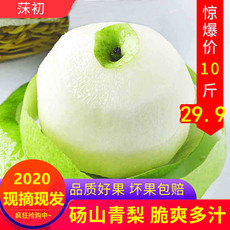 脆甜多汁砀山青梨子5/10斤水果新鲜孕妇水果包邮酥