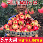 农家自产 【正宗软籽 领券立减 10】四川会理软籽石榴现摘现发新鲜包邮