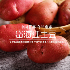 中国薯都内蒙古乌兰察布岱海红土豆带箱10斤 沙绵糯香 产自中国薯都 富含花青素